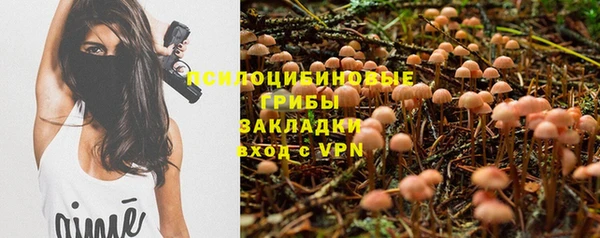 дживик Новокубанск