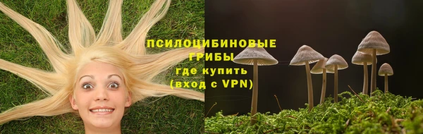 молекула духа Баксан
