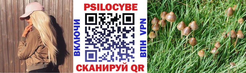 Галлюциногенные грибы Psilocybe  цена наркотик  Пятигорск 