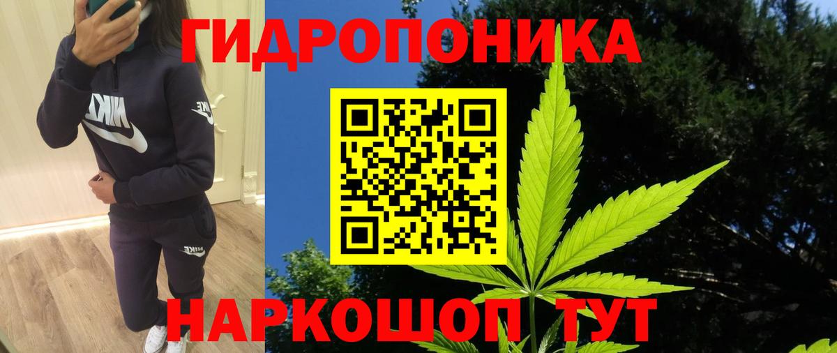 Канабис ГИДРОПОН Пятигорск